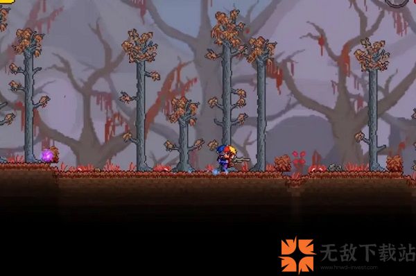 Terraria1.4.4.9汉化版